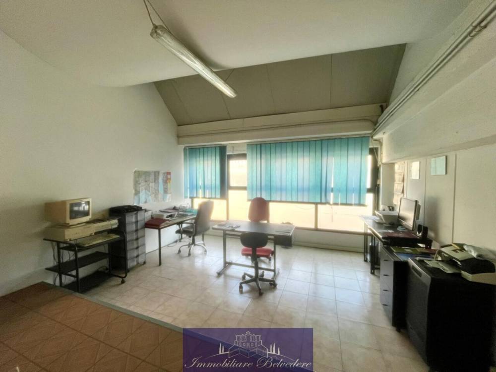 immagine annuncio 9 di 12