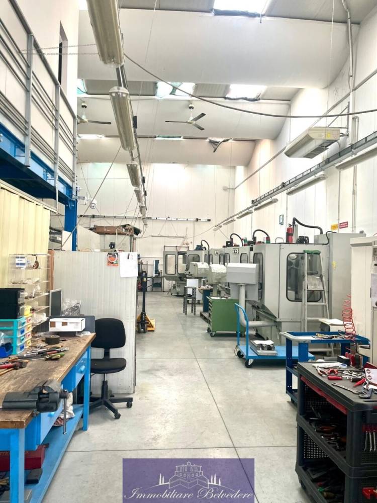 immagine annuncio 5 di 12