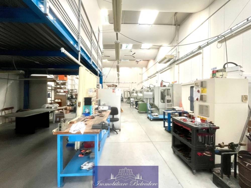 immagine annuncio 4 di 12