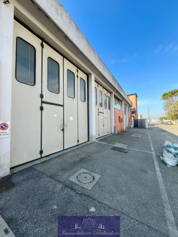 immagine annuncio 3 di 12