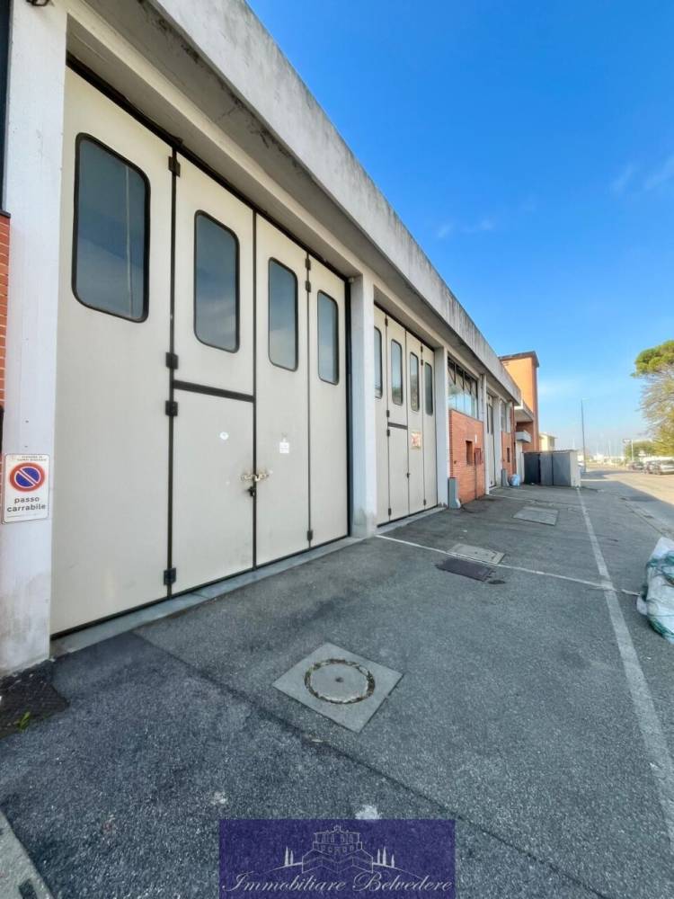 immagine annuncio 2 di 12