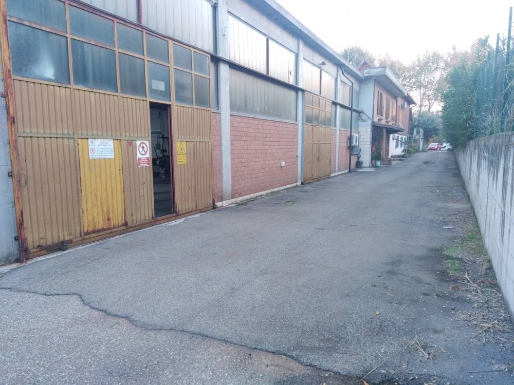 immagine annuncio 12 di 13