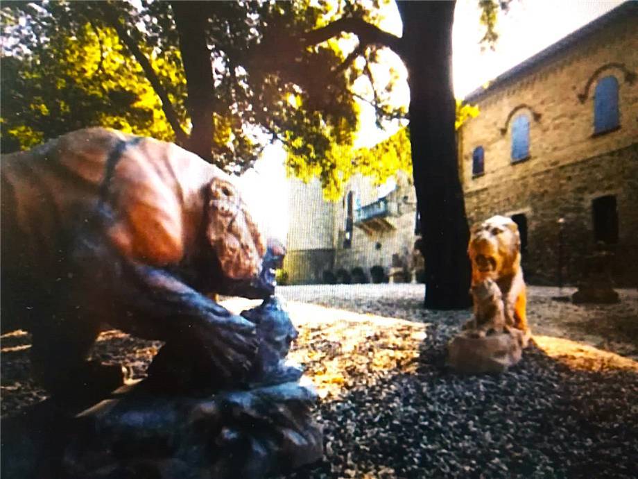 immagine annuncio 3 di 13