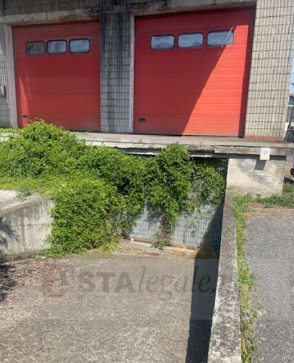 immagine annuncio 3 di 9