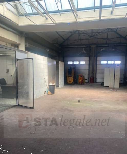 immagine annuncio 5 di 9