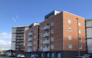 immagine annuncio 11 di 13