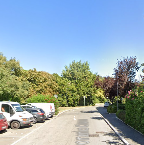 immagine annuncio 12 di 13