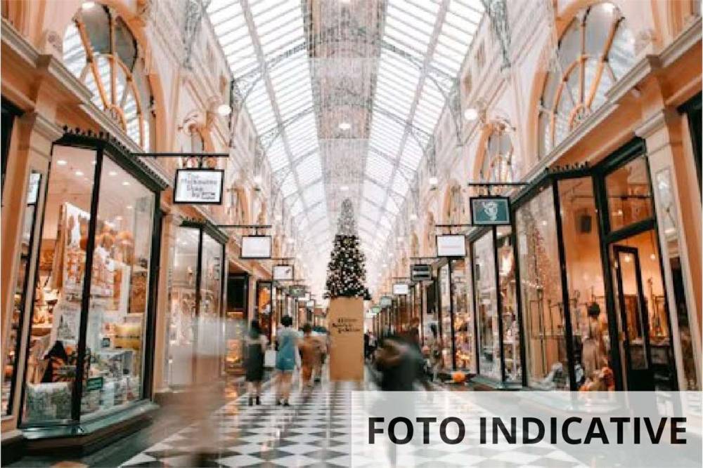 immagine annuncio 9 di 13