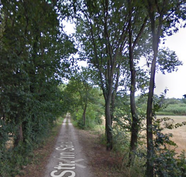 immagine annuncio 12 di 13