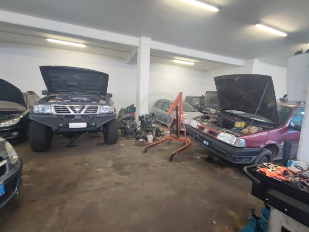 immagine annuncio 4 di 12