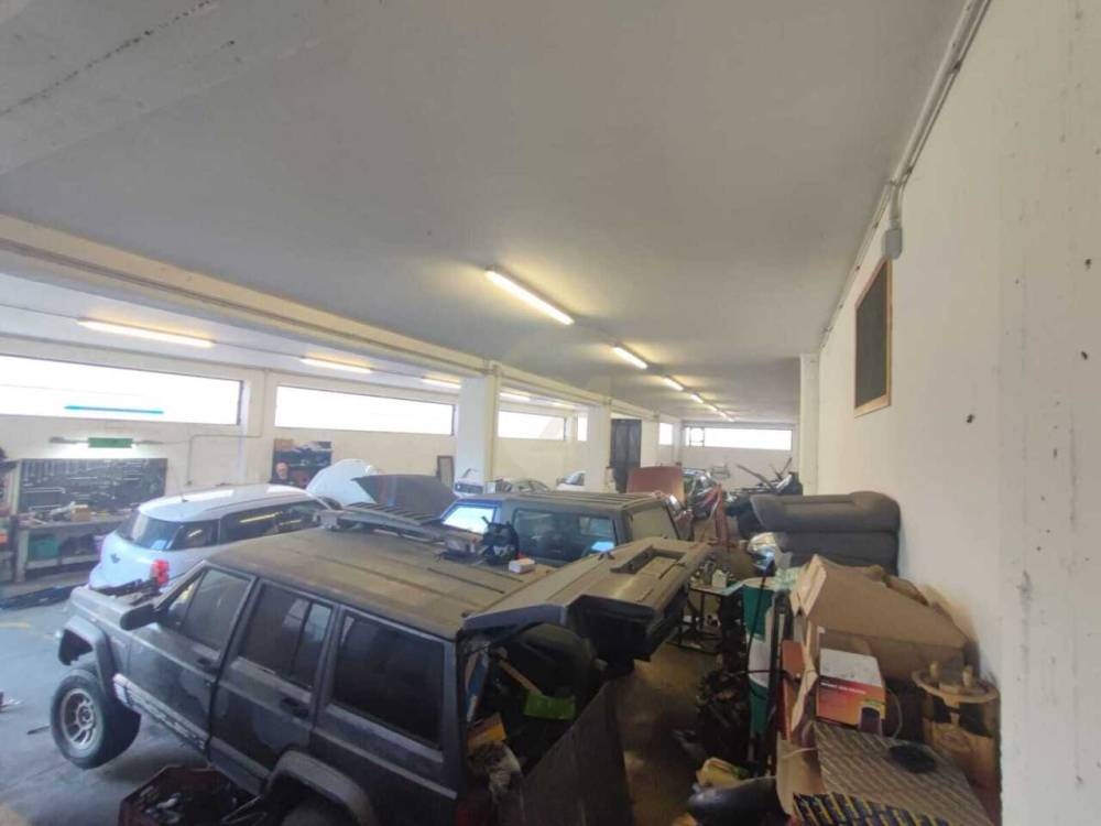 immagine annuncio 5 di 12