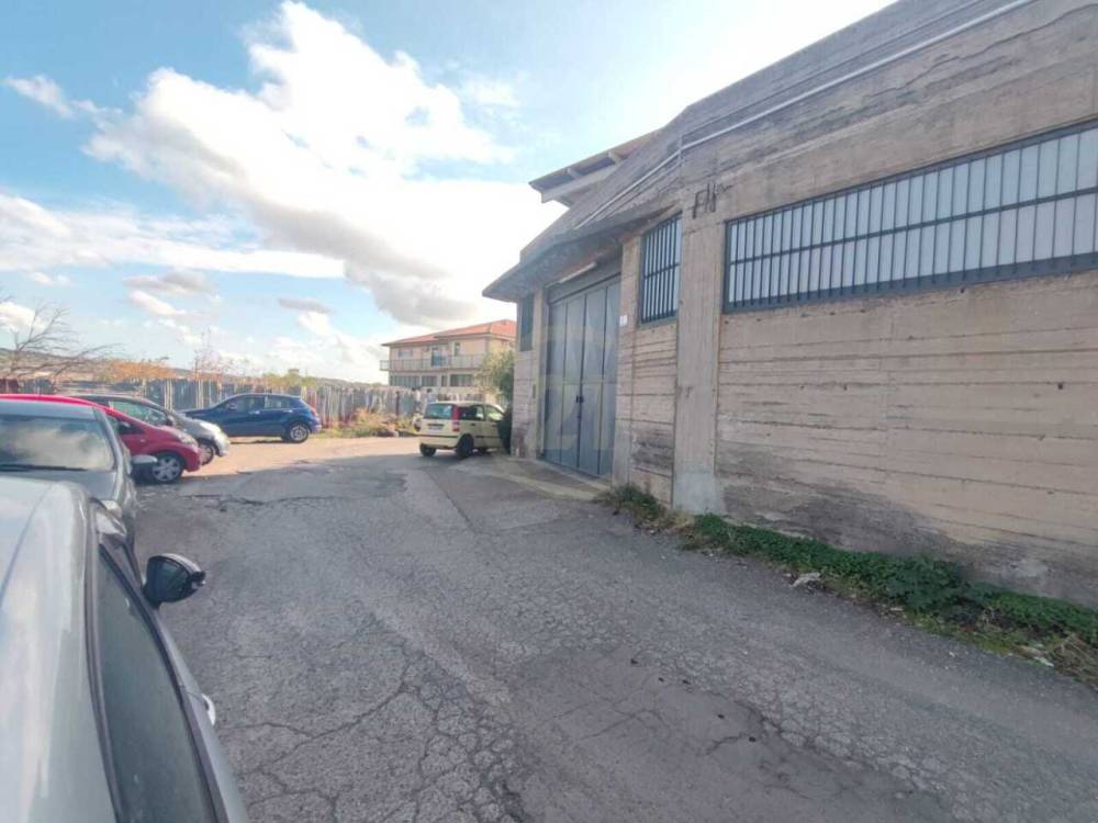 immagine annuncio 10 di 12