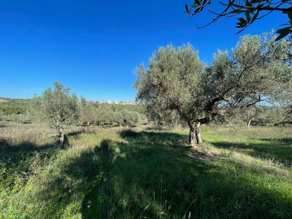 immagine annuncio 8 di 13