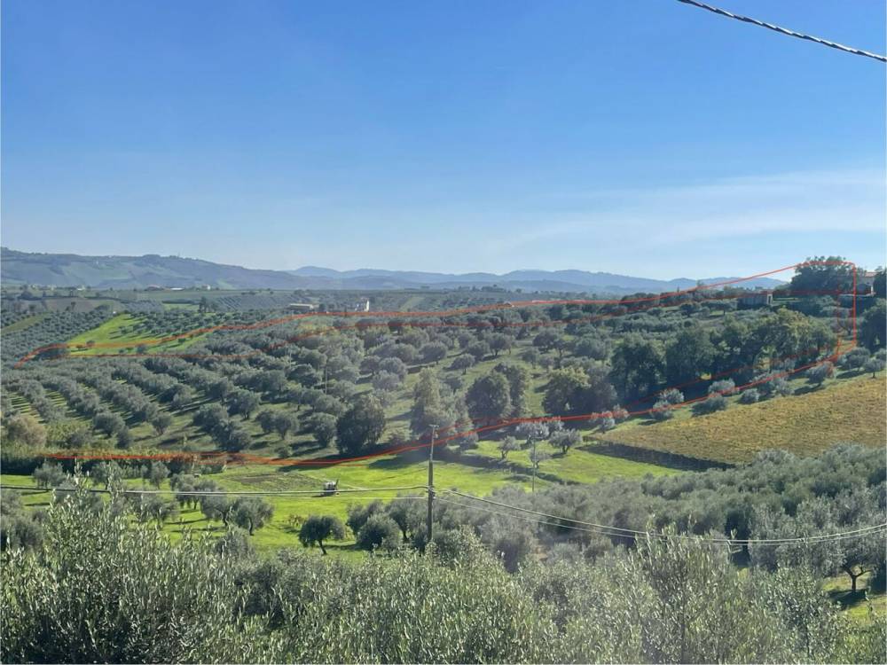 immagine annuncio 9 di 13