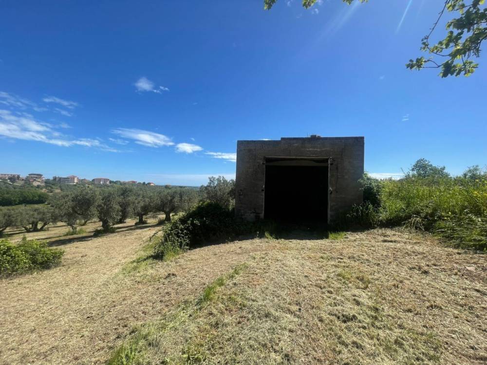 immagine annuncio 7 di 13