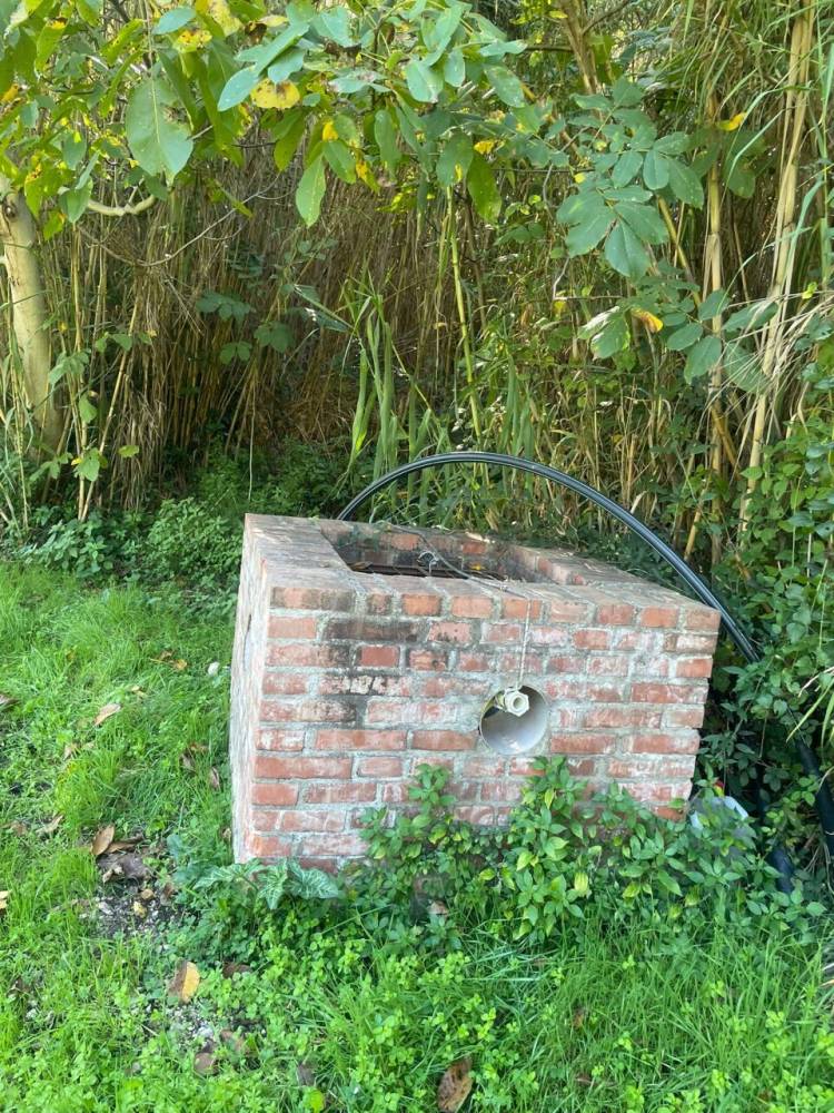 immagine annuncio 12 di 13