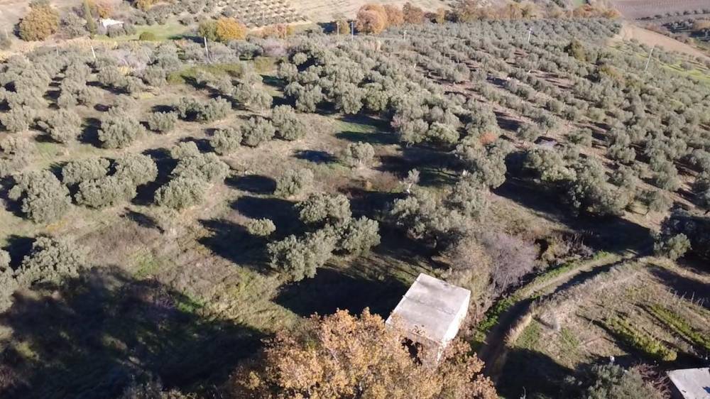 immagine annuncio 10 di 13