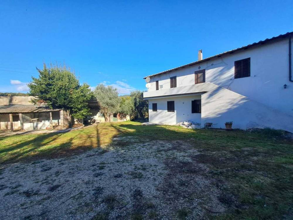 immagine annuncio 2 di 13