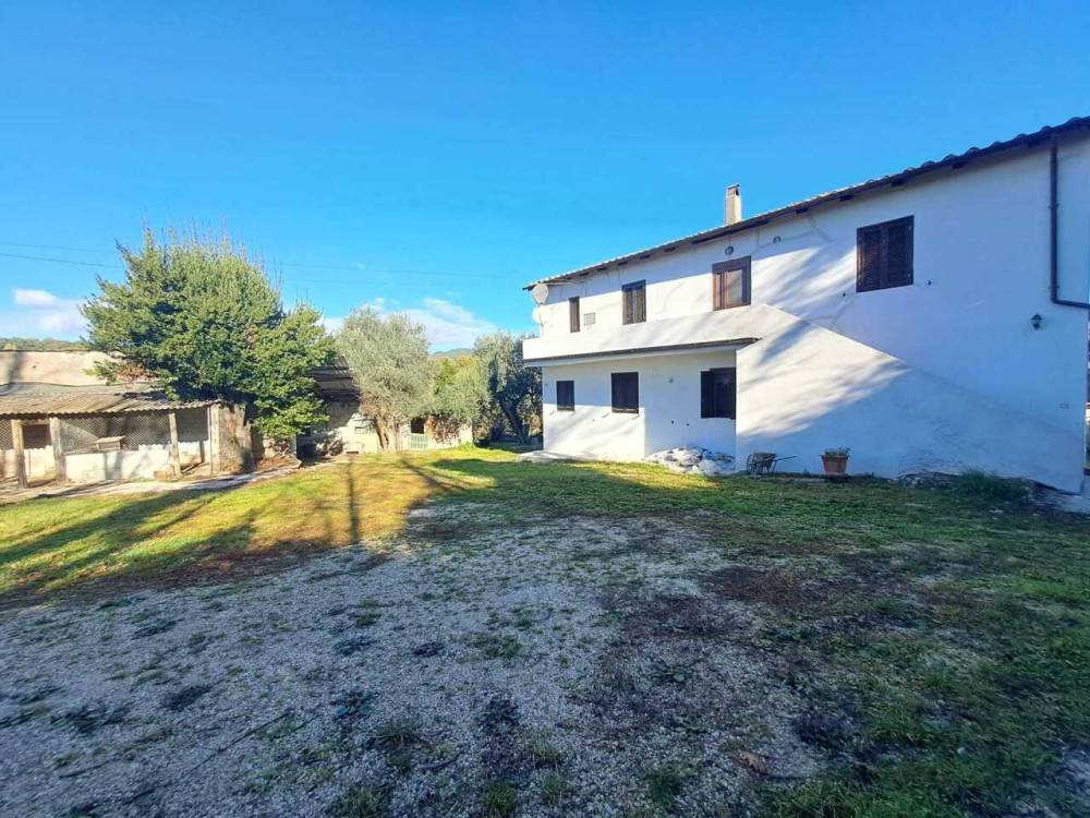 immagine annuncio 6 di 13