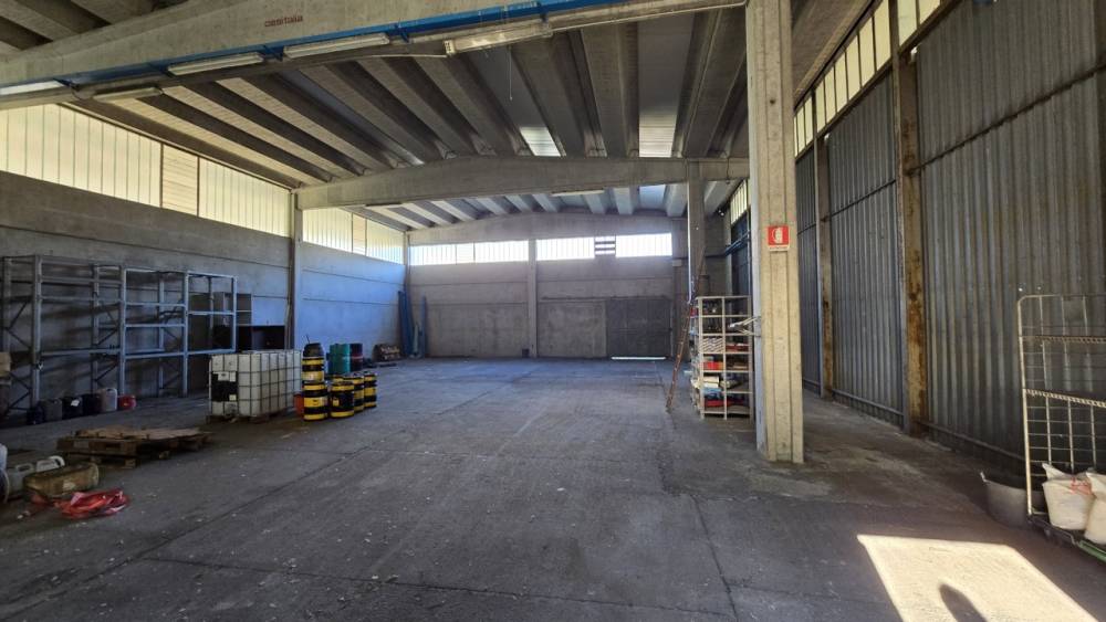 immagine annuncio 4 di 13