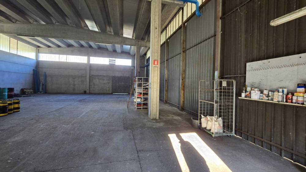 immagine annuncio 6 di 13