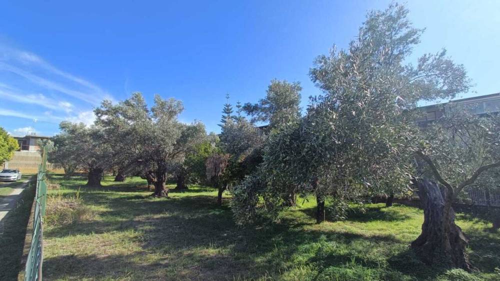 immagine annuncio 1 di 4