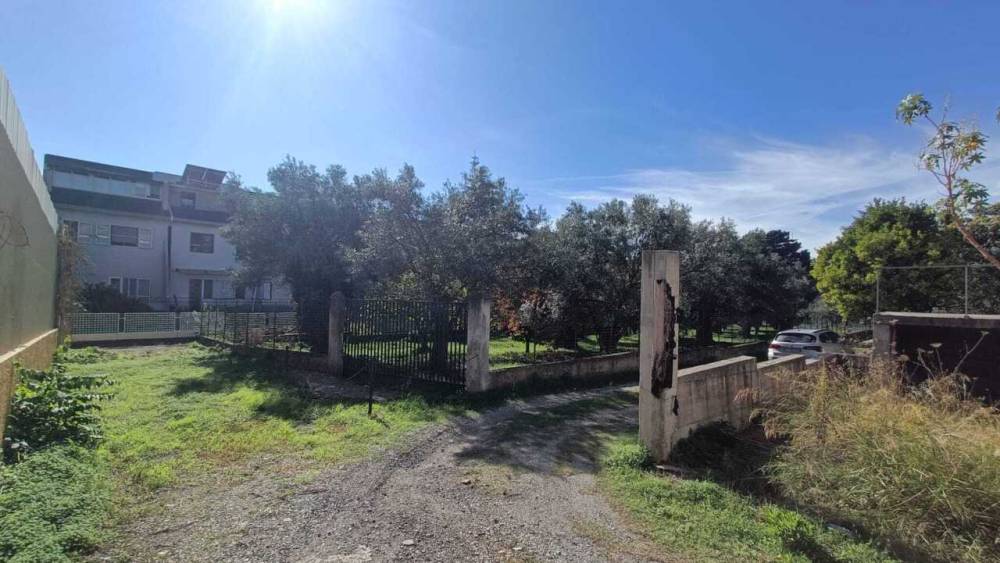 immagine annuncio 2 di 4