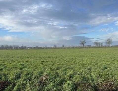 immagine annuncio 2 di 13