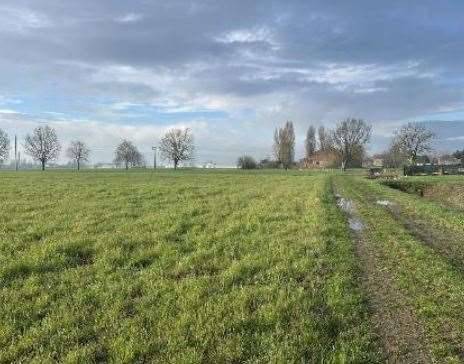 immagine annuncio 5 di 13