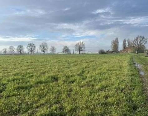 immagine annuncio 6 di 13