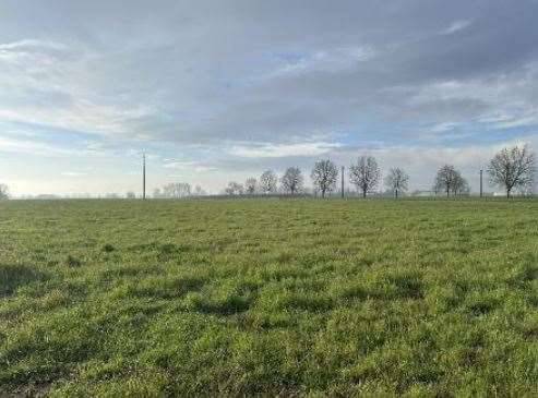 immagine annuncio 8 di 13