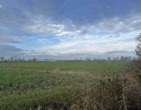 immagine annuncio 9 di 13