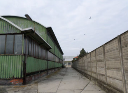 immagine annuncio 5 di 13