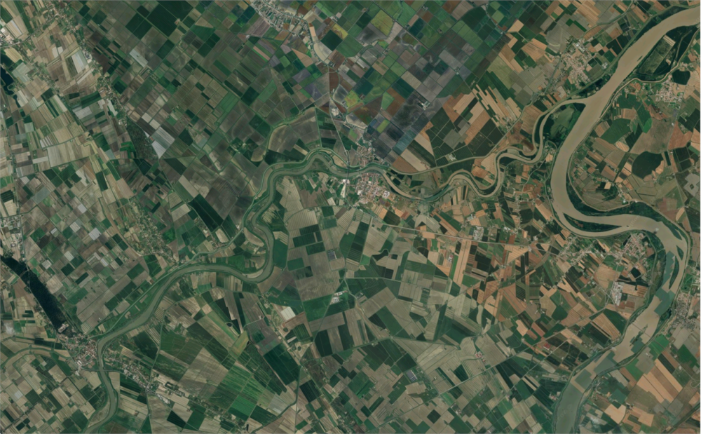 immagine annuncio 12 di 13