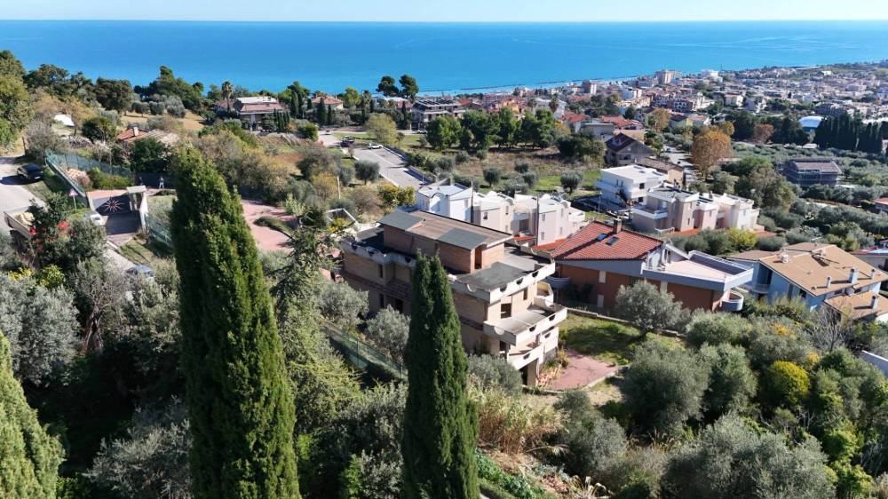 immagine annuncio 9 di 13