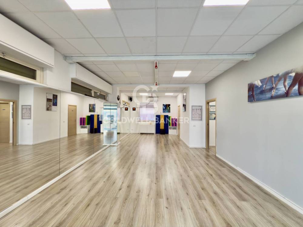 immagine annuncio 1 di 13