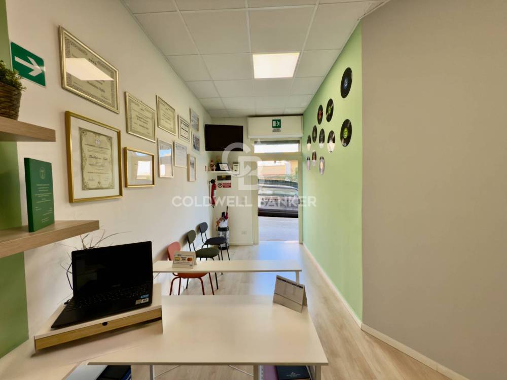 immagine annuncio 2 di 13