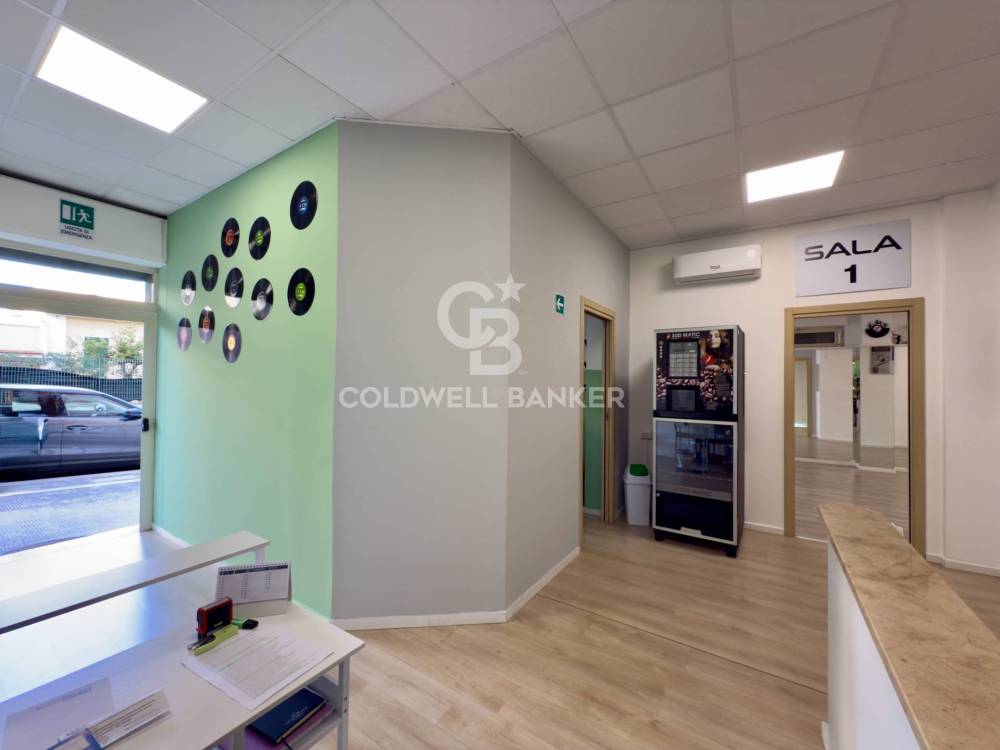 immagine annuncio 4 di 13