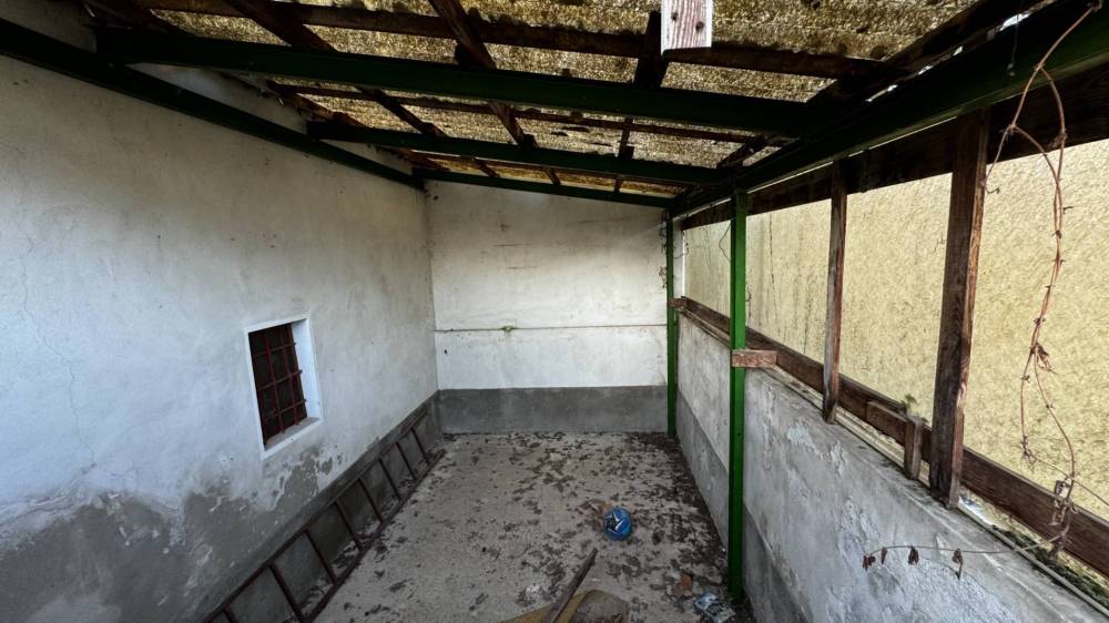 immagine annuncio 4 di 7