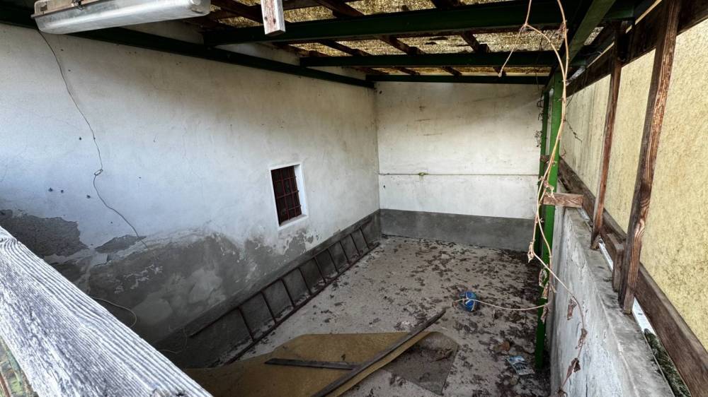 immagine annuncio 5 di 7