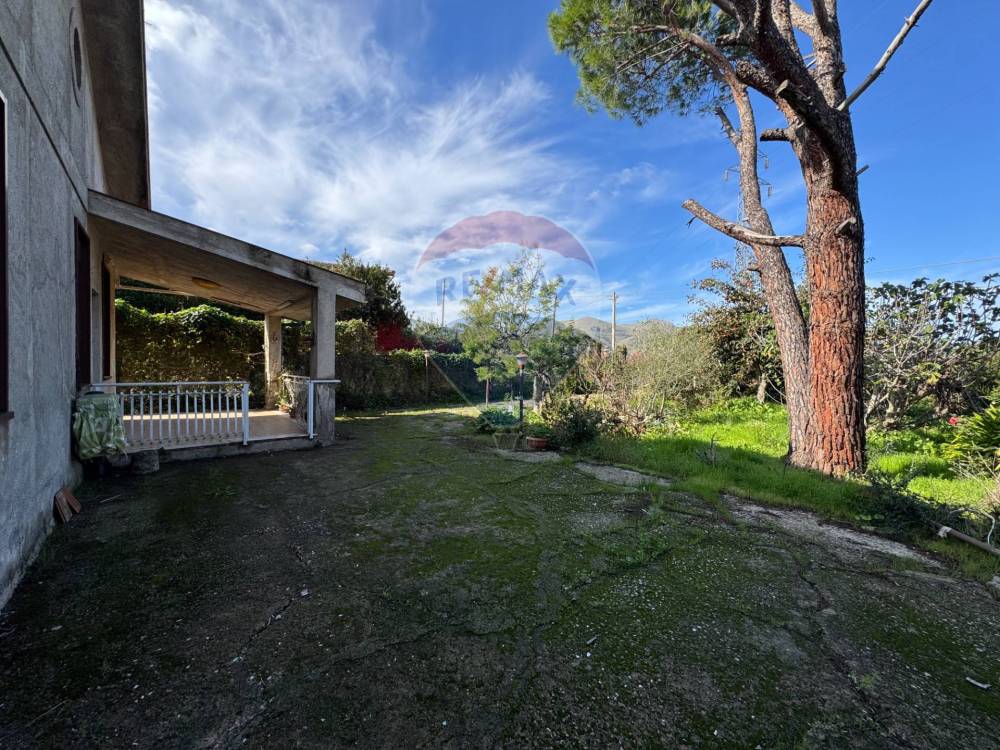 immagine annuncio 10 di 13