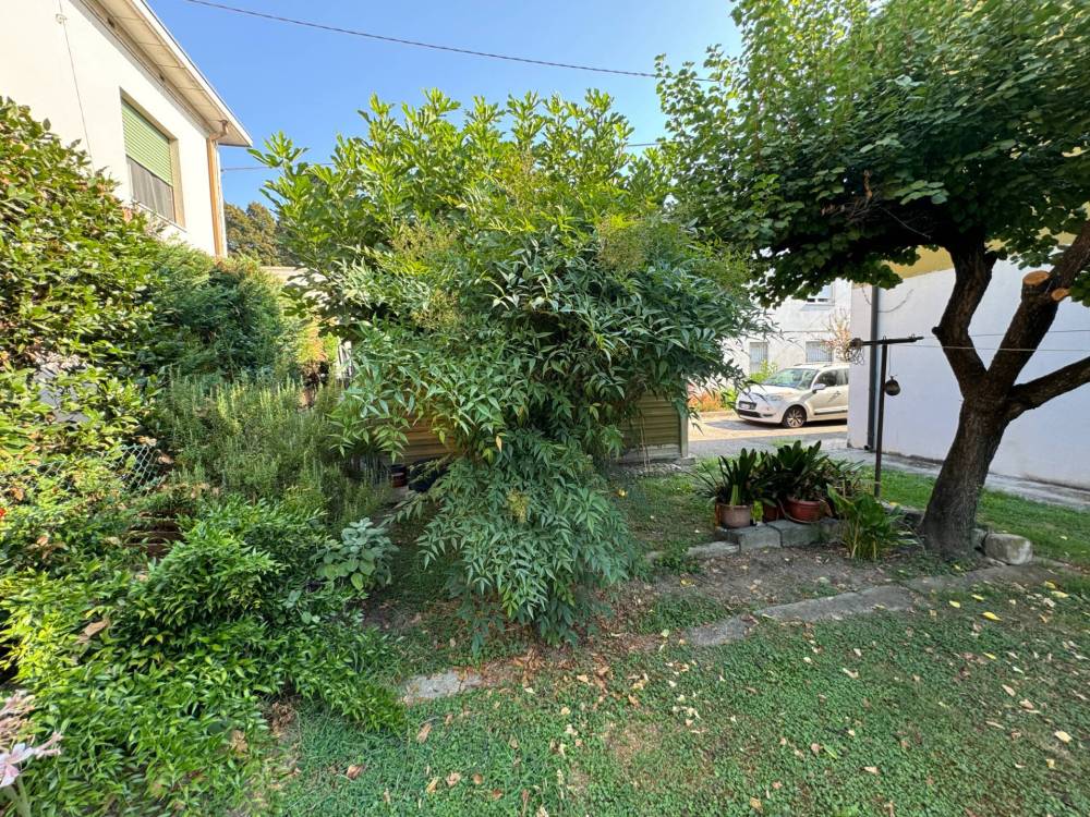 immagine annuncio 2 di 13