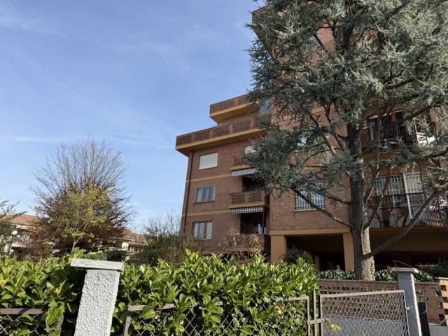 immagine annuncio 1 di 13