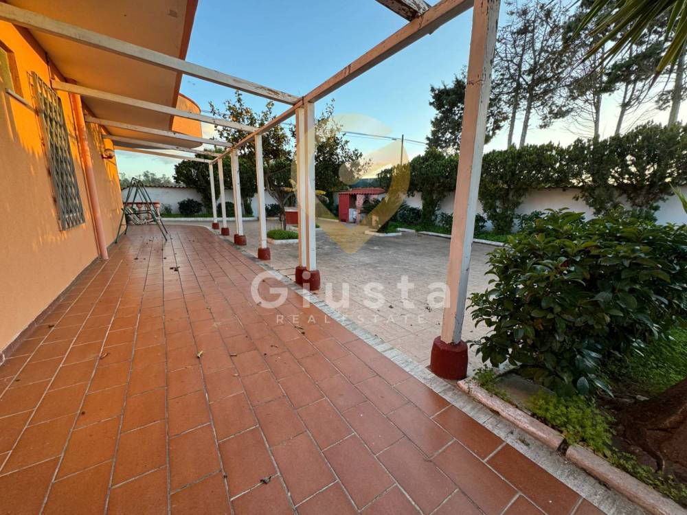 immagine annuncio 11 di 13