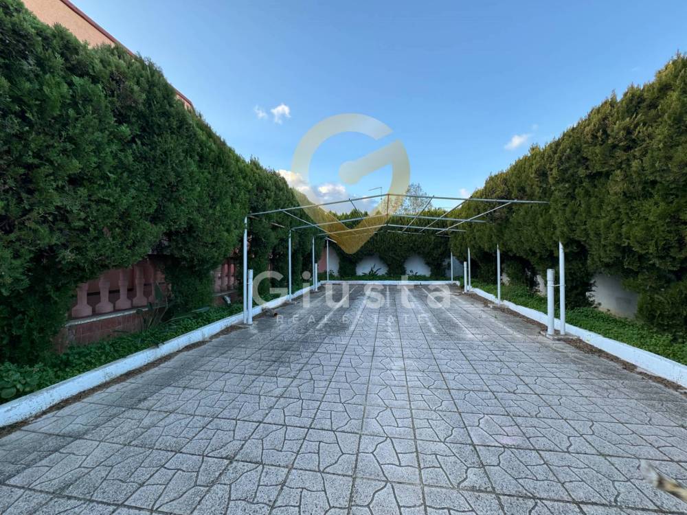 immagine annuncio 3 di 13