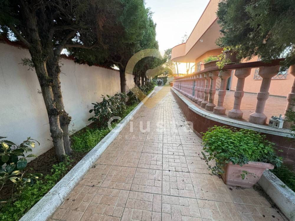 immagine annuncio 4 di 13