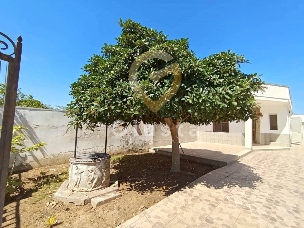 immagine annuncio 2 di 9