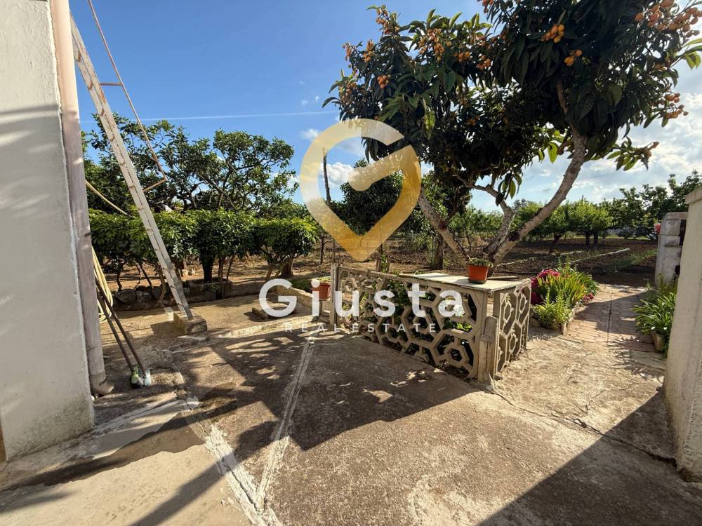 immagine annuncio 10 di 13