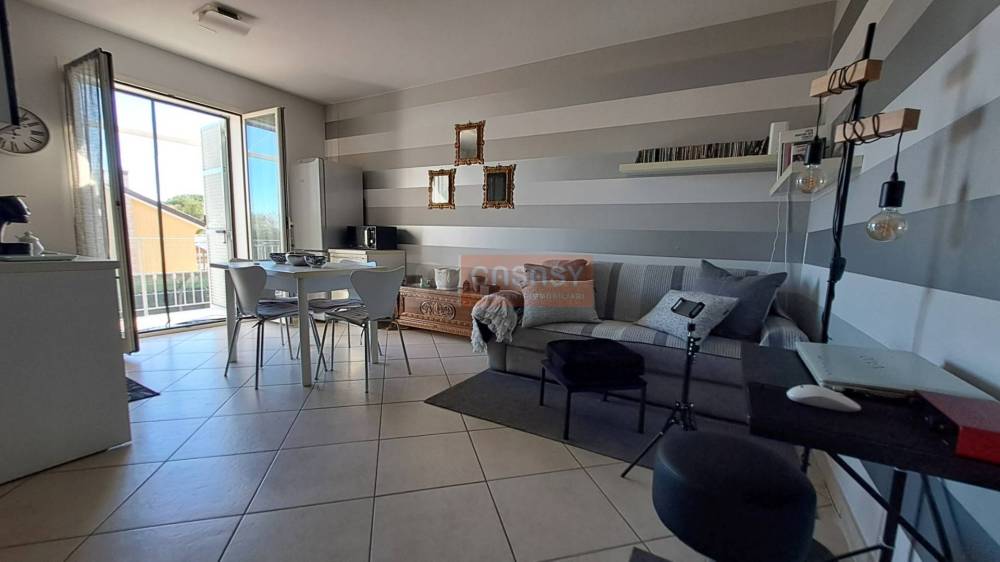 immagine annuncio 4 di 13