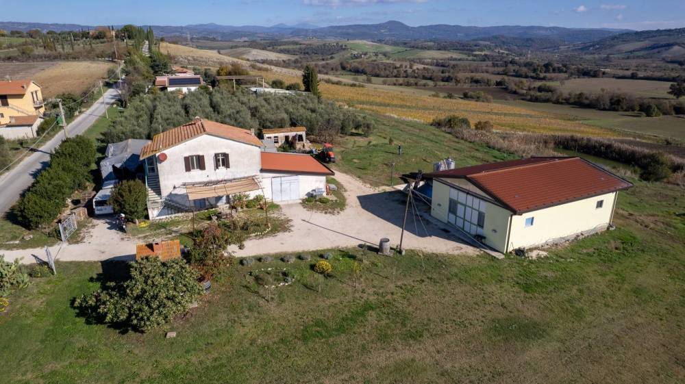 immagine annuncio 5 di 13